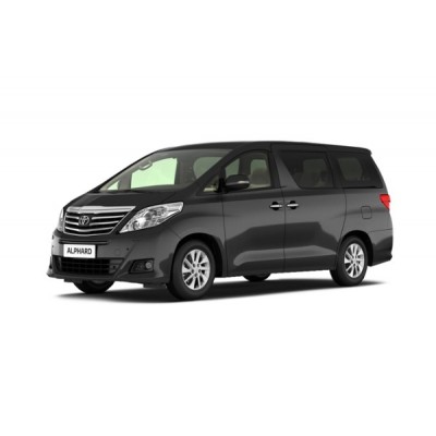 Коврики 3Д (Экокожа с защит. слоем) для Toyota Alphard 2008-2015