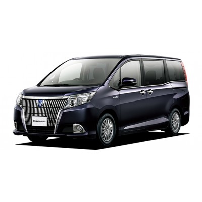 Коврики 3Д (Экокожа с защит. слоем) для Toyota Esquire 2014-2021