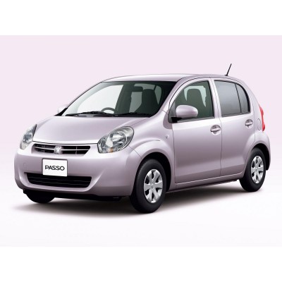 Коврики 3Д (Экокожа с защит. слоем) для Toyota Passo 2010-2016