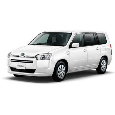 Коврики 3Д (Экокожа с защит. слоем) для Toyota Probox 2014-n-v