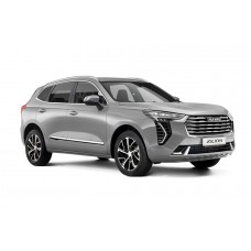 Коврики Dislo для Haval Jolion (Chulian) 2020-н.в. 2 ряда 