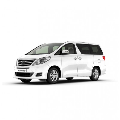 Коврик в багажник Dislo для TOYOTA  Alphard 2008-2015