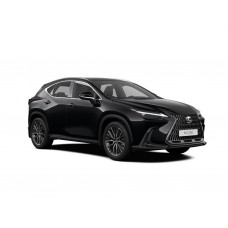 Купить Коврики Dislo для LEXUS NX250 2021-н.в., пр. руль 2 ряда   в  интернет-магазине Dislo в Хабаровске